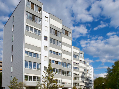 LES LIBELLULES, LAUSANNE