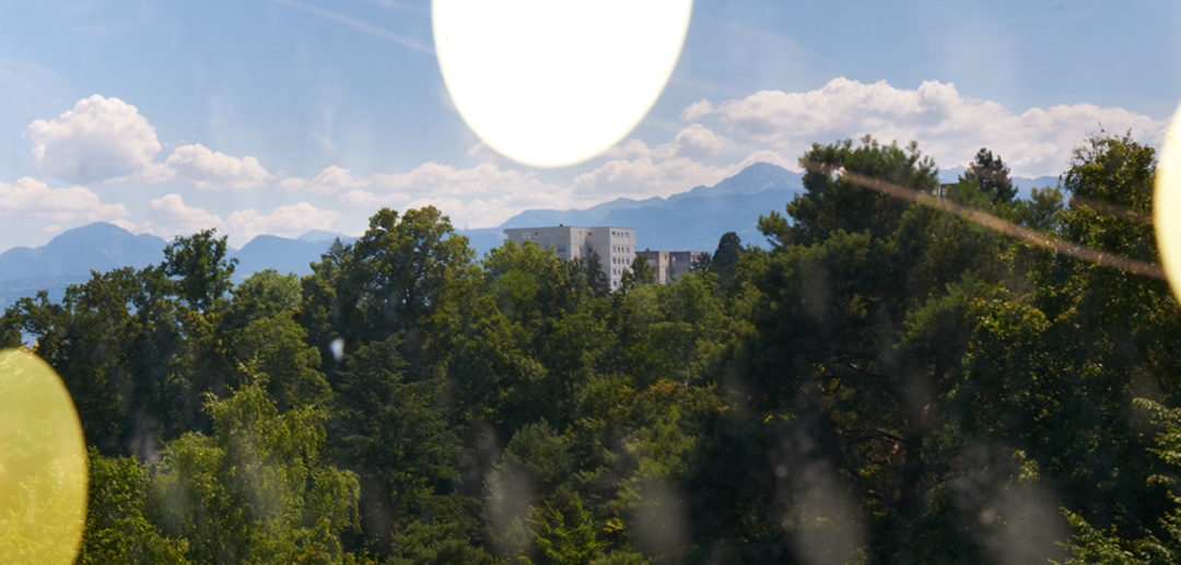 LA CULTURE DU BÂTI ADAPTÉE AUX ENJEUX CLIMATIQUES