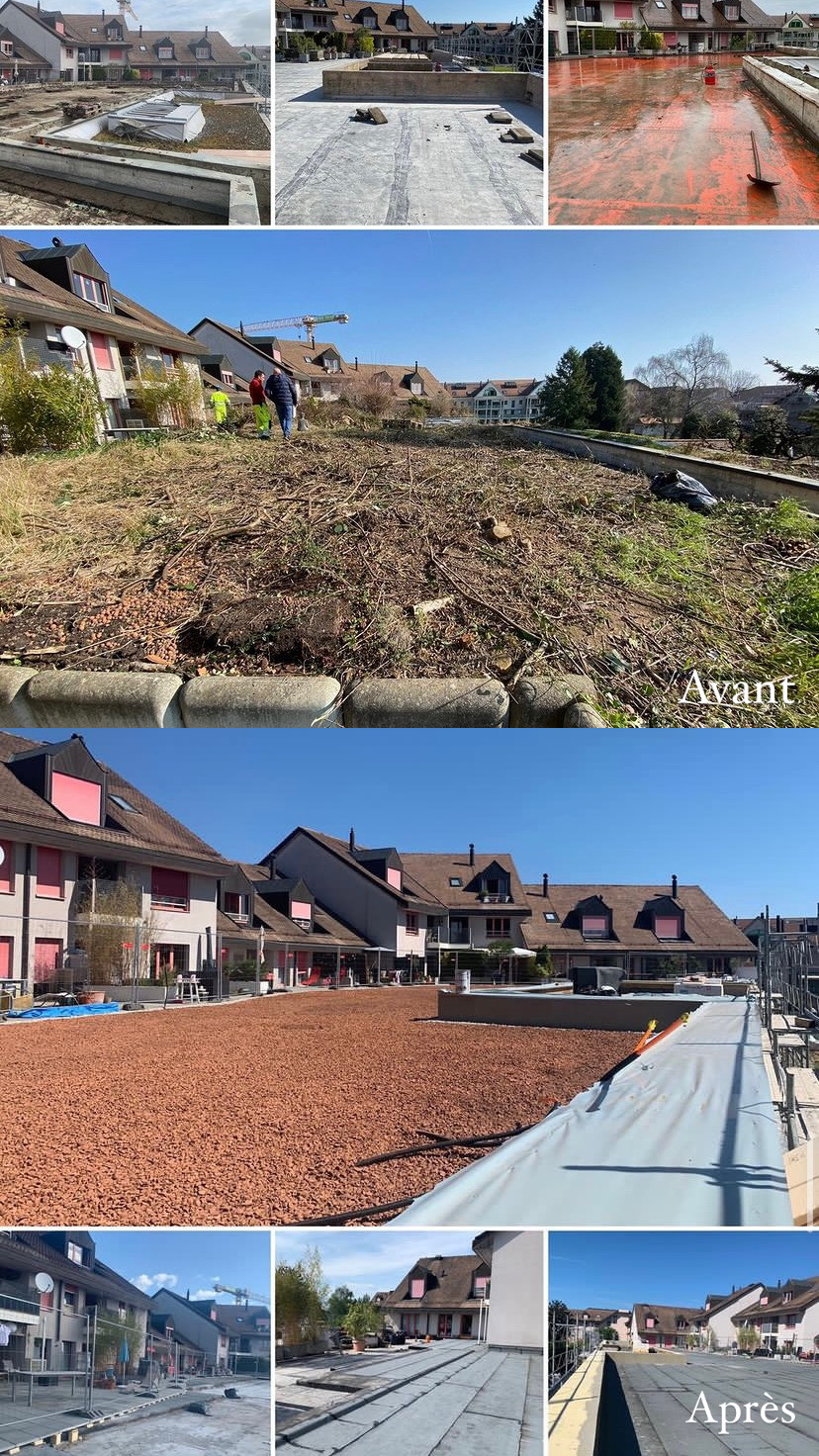 Rénovation Borgeaud