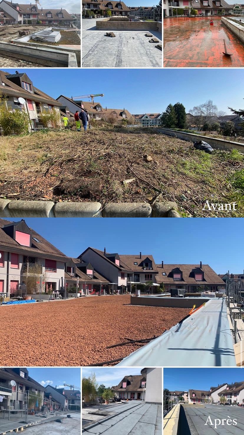 4473141F-5D39-492C-8AC4-5DD97D7B72D8 Rénovation Borgeaud