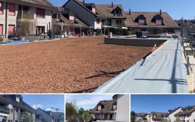 Rénovation