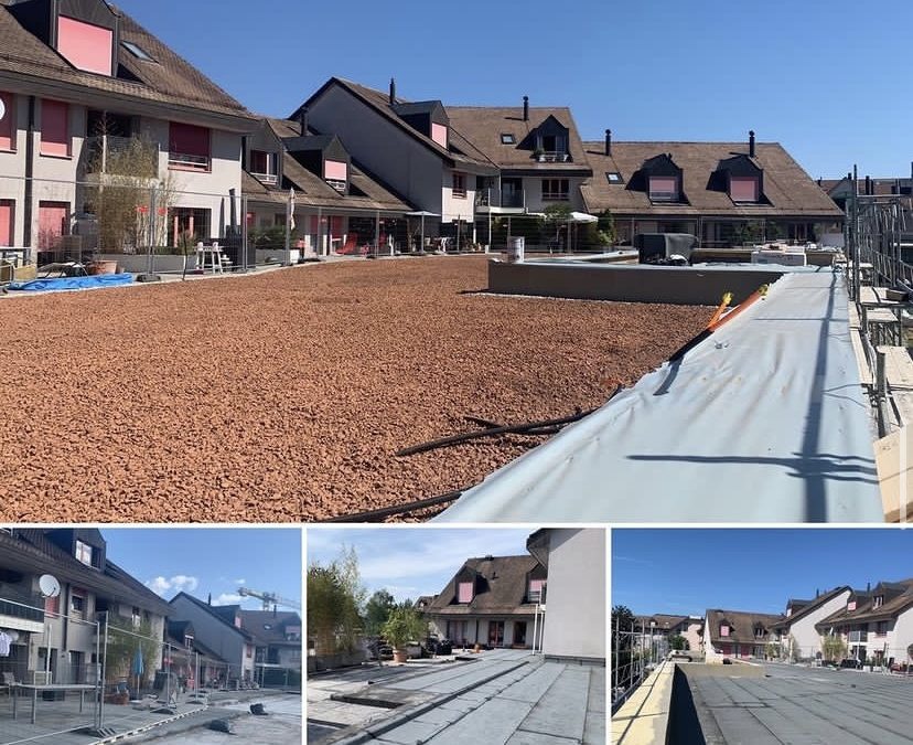 Rénovation