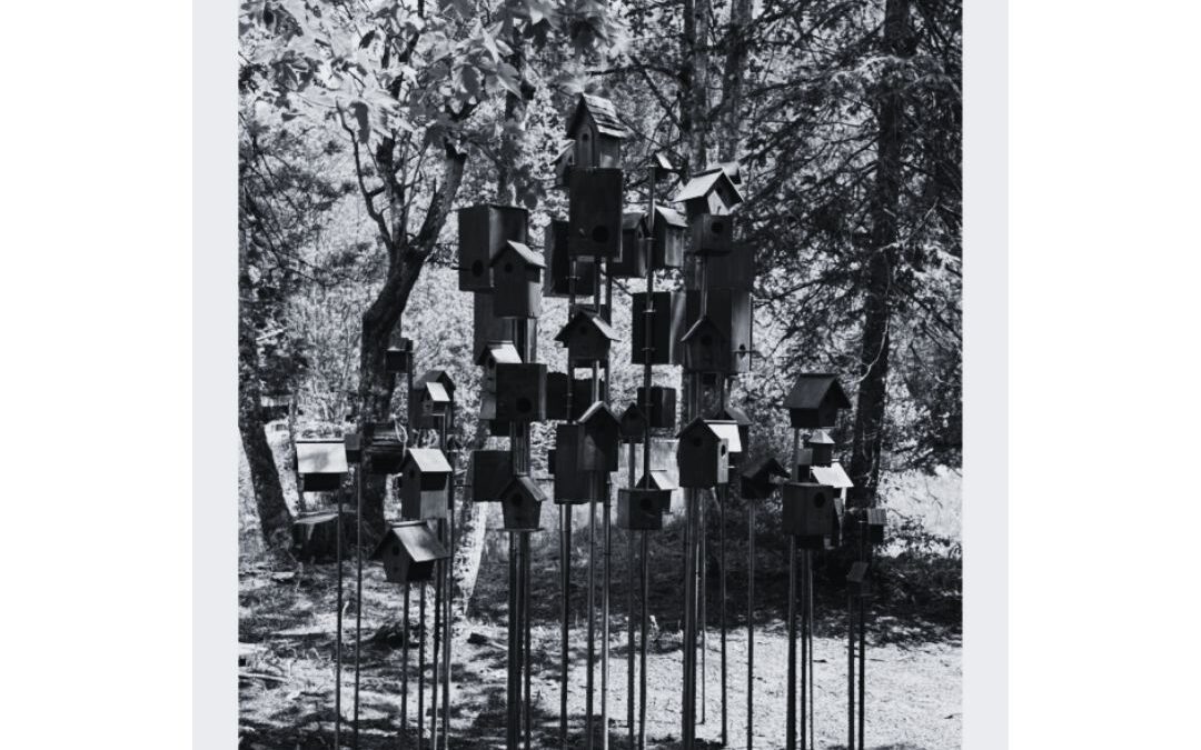 [Art] Quand l’environnement devient galerie