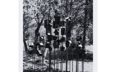 [Art] Quand l’environnement devient galerie